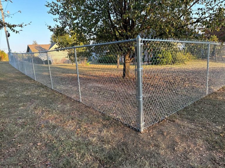 Chain Link Fences (1)